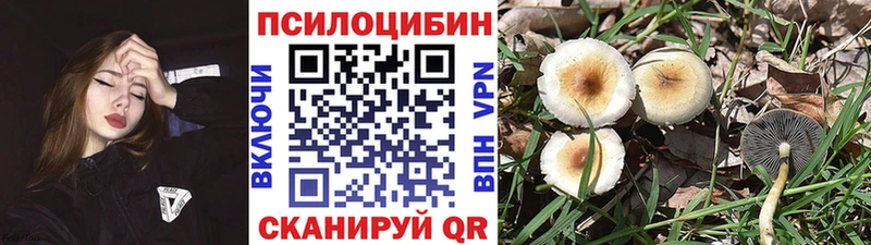 Купить где  Ясногорск  Галлюциногенные грибы MAGIC MUSHROOMS 